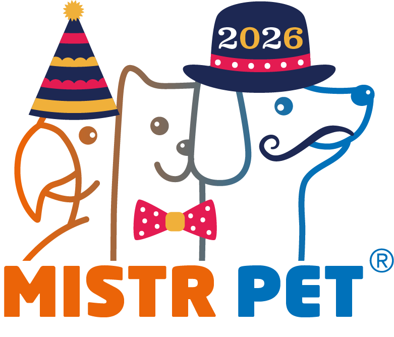 Datový zdroj 10Nový rok Instagram